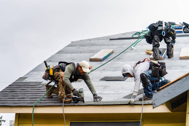 Professional Storm Damage Roof Repair technician working in Mooreton, ND